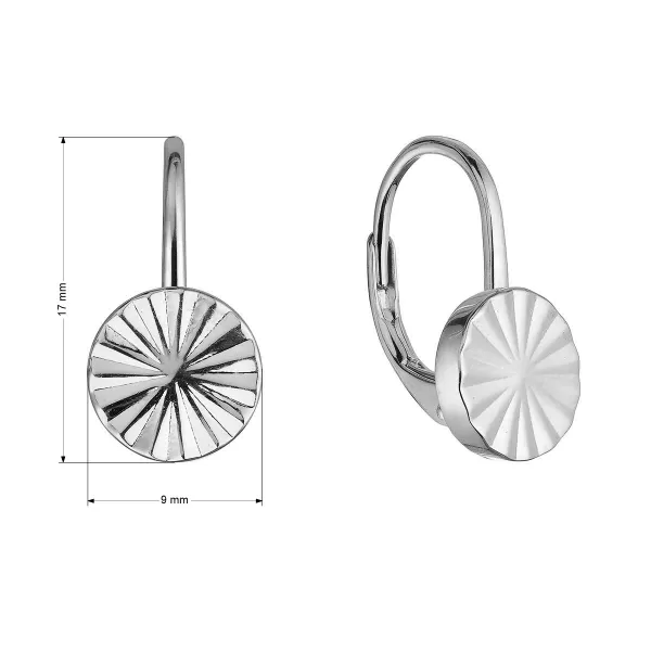 Stříbrné náušnice kulaté 61021