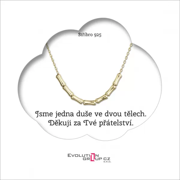 Jsme jedna duše ve dvou tělech. Děkuji za Tvé přátelství - OB22.2