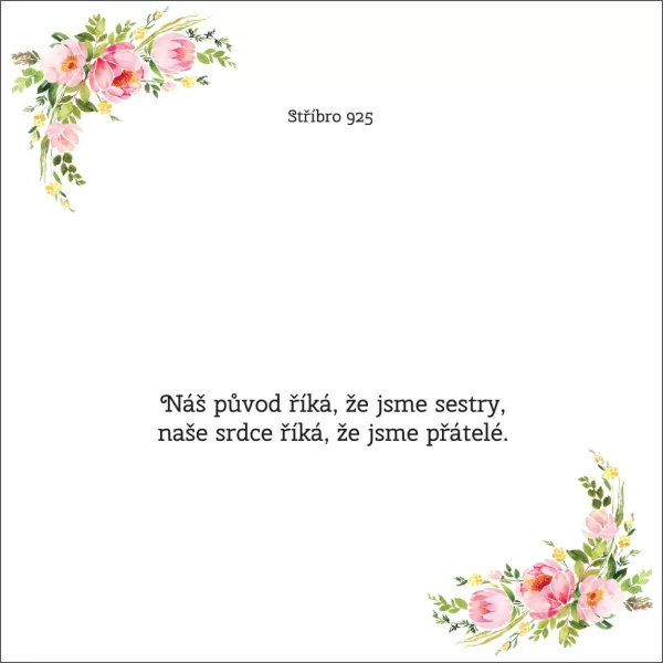 Náš původ říká, že jsme sestry, naše srdce říká, že jsme přátelé - OB11