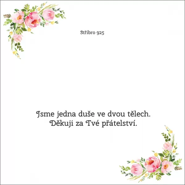 Jsme jedna duše ve dvou tělech. Děkuji za Tvé přátelství - OB22