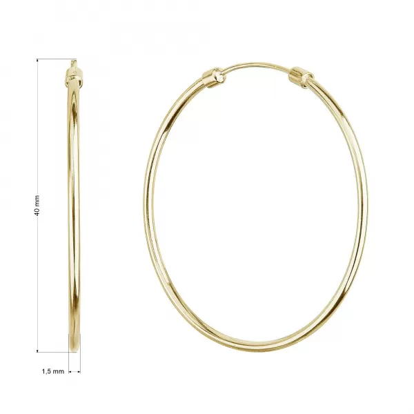 Pozlacené stříbrné náušnice kruhy 61008