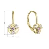 Pozlacené stříbrné náušnice se zirkony 11508.1 crystal