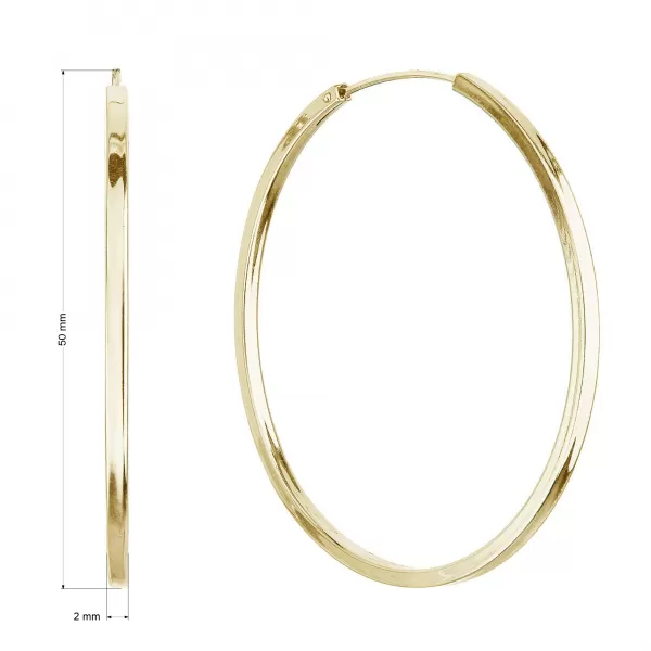 Pozlacené stříbrné náušnice kruhy 61009