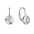 Stříbrné náušnice s bílým zirkonem 11510.1 crystal
