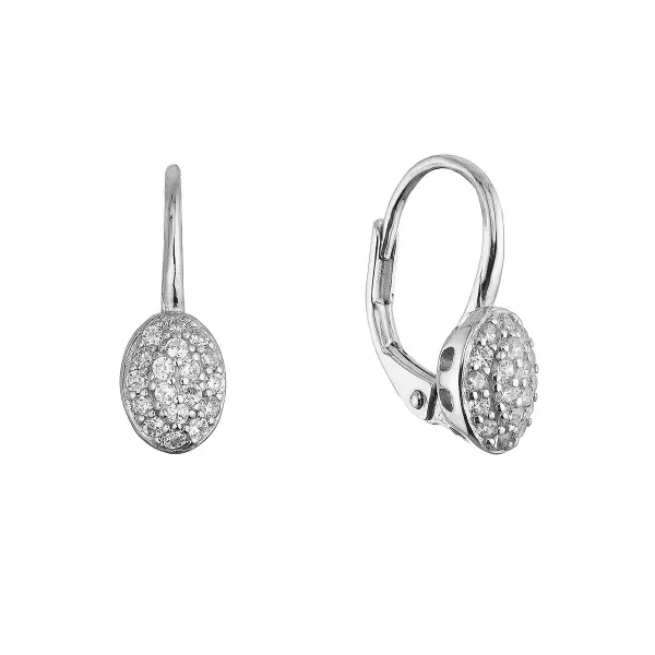 Stříbrné visací náušnice oválky 11654.1