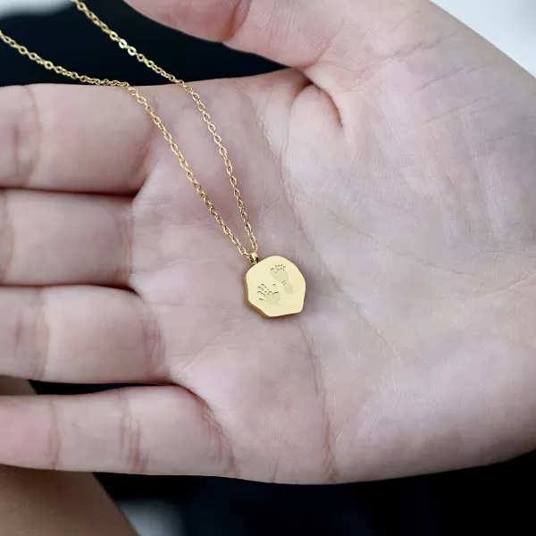 Ocelový náhrdelník placka 42041.1