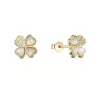 Pozlacené náušnice perleťové čtyřlístky 11800.1