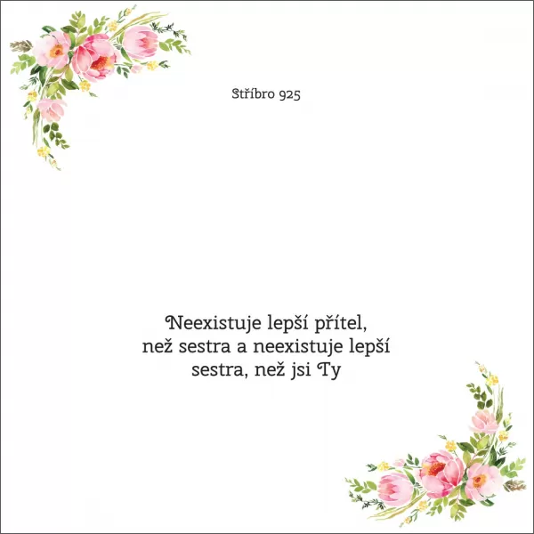 Neexistuje lepší přítel, než sestra a neexistuje lepší sestra, než jsi Ty - OB49