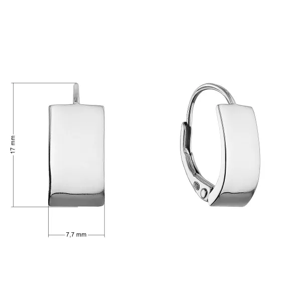 Stříbrné náušnice kruhy 61073