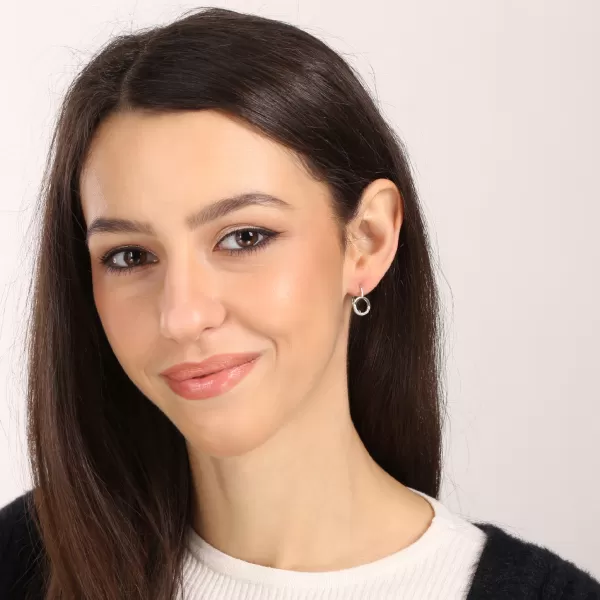 Stříbrné náušnice kulaté se zirkony 11700.1 crystal