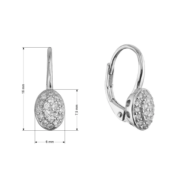 Stříbrné visací náušnice oválky 11654.1