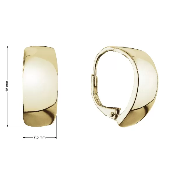 Pozlacené stříbrné náušnice kruhy 61070