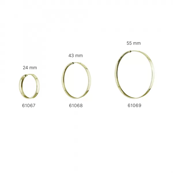 Stříbrné pozlacené náušnice kruhy 61067