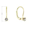 Pozlacené visací náušnice se Swarovski krystalem 31322.1