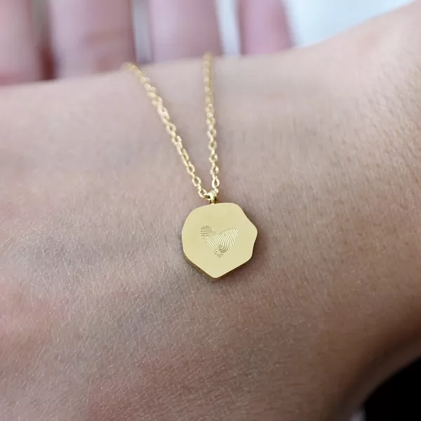 Ocelový náhrdelník placka 42041.1