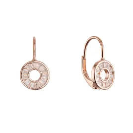 Pozlacené stříbrné náušnice kroužek ananas 11719.1 rose gold