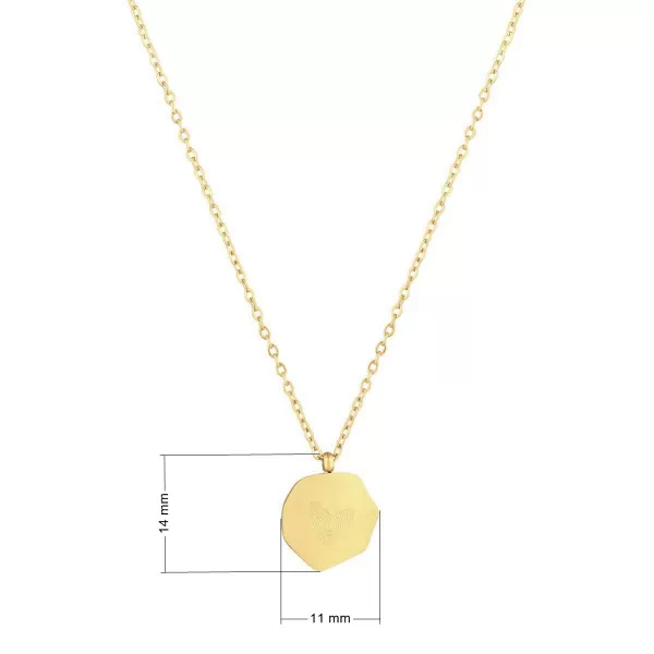 Ocelový náhrdelník placka 42041.1