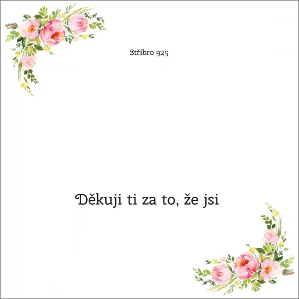 Děkuji ti za to, že jsi - OB43