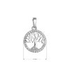 Stříbrný přívěsek strom života 14051.1