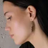 Provlékací náušnice 41089.1