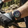Festina Special Editions