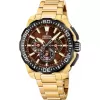 Festina Chrono Bike