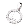 Přívěsek stříbro 925 zirkon písmeno se - L MPN5192-L