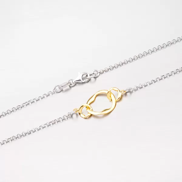 Stříbrný náhrdelník s pozlacenými ozdobami N1500339-0331-SLX