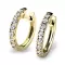 Dámské náušnice žluté zlato 585/1000 přírodní diamant 0.308 ct G/SI kruhy 10838-ZL-DIA