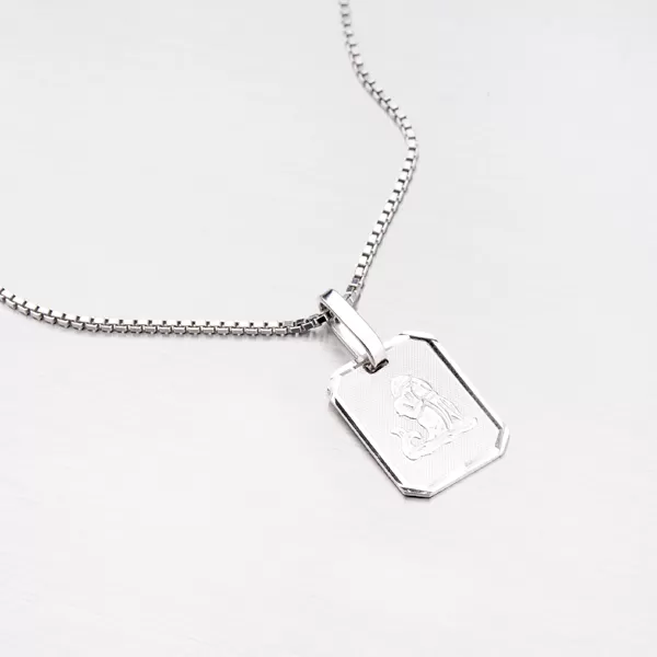 Přívěsek ze stříbra - Vodnář M5041-01