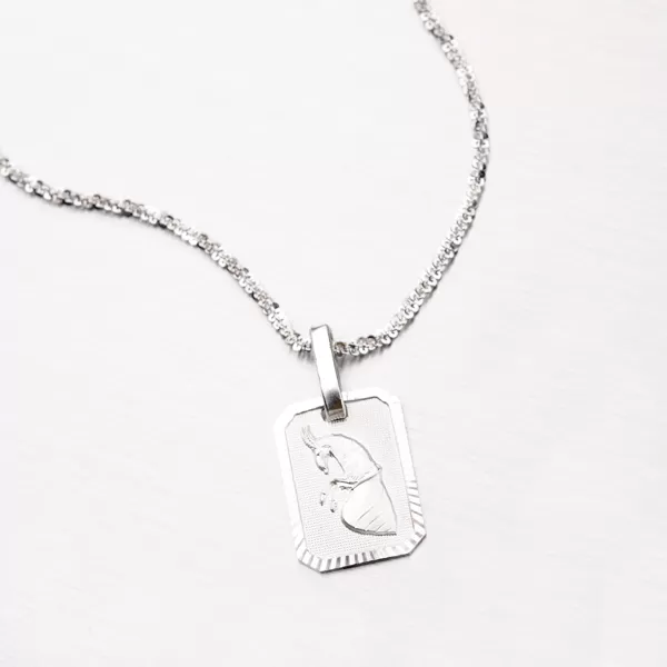 Přívěsek stříbro 925 kozoroh - měsíční znamení M5013-12