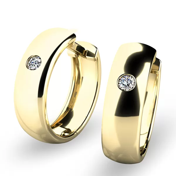 Dámské náušnice bílé zlato 585/1000 přírodní diamant 0.044 ct G/SI kruhy 10916-B-DIA