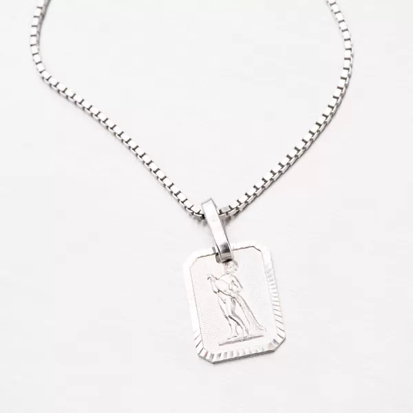 Vodnář - stříbrné měsíční znamení M5013-01