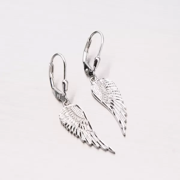Stříbrné náušnice křídla PKL-2001