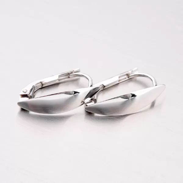 Dámské náušnice bílé zlato 585 visací 42-31504