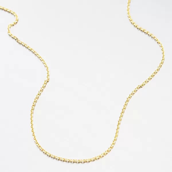 Stříbrný pozlacený řetízek Anker CHRS-19-040-D/C-AU