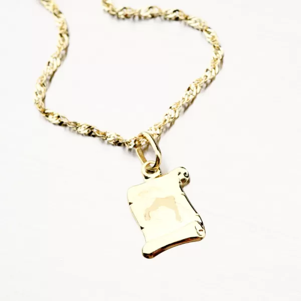 Kozoroh - zlaté měsíční znamení 43-2081-12