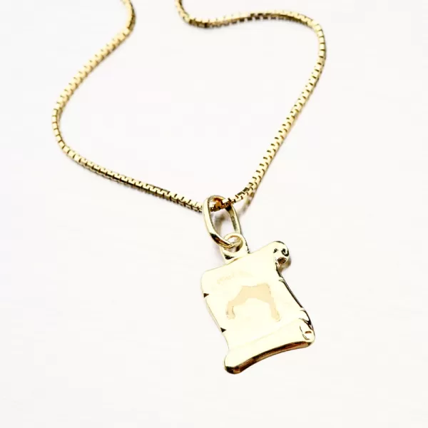 Kozoroh - zlaté měsíční znamení 43-2081-12