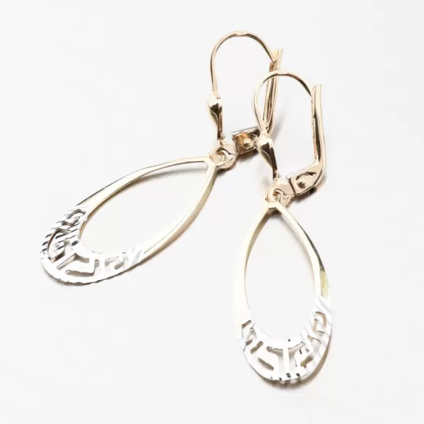 Zlaté visací náušnice 12-710