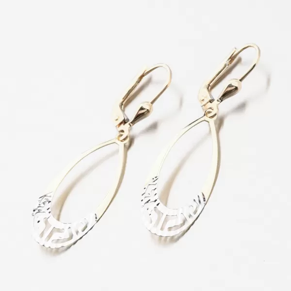 Zlaté visací náušnice 12-710