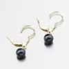 Zlaté náušnice s černou perlou 52GZ-3016-ZL-KL-Black