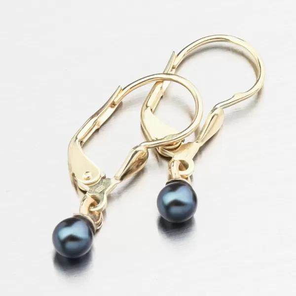 Zlaté náušnice s černou perlou 52GZ-3014-ZL-KL-Black