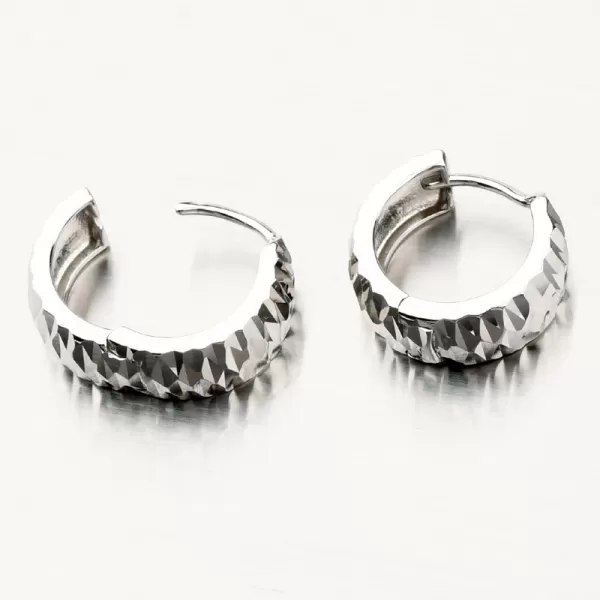 Stříbrné náušnice kruhy PKL-2130