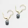 Zlaté náušnice s černou perlou 52GZ-3015-ZL-KL-Black