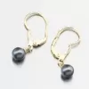 Zlaté náušnice s černou perlou 52GZ-3015-ZL-KL-Black