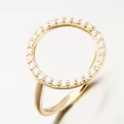 Elegantní prsten DZF3781-ZL-ZIR