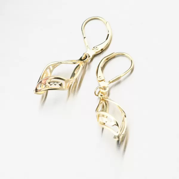 Dámské náušnice stříbro 925 visací PKL-2240